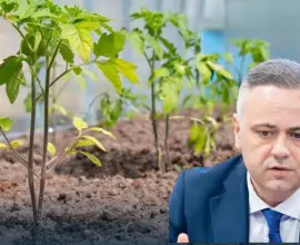 Foto Florin Barbu: Programul „Legume în spaţii protejate” a fost aprobat pentru următorii trei ani