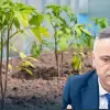 Imagine Florin Barbu: Programul „Legume în spaţii protejate” a fost aprobat pentru următorii trei ani