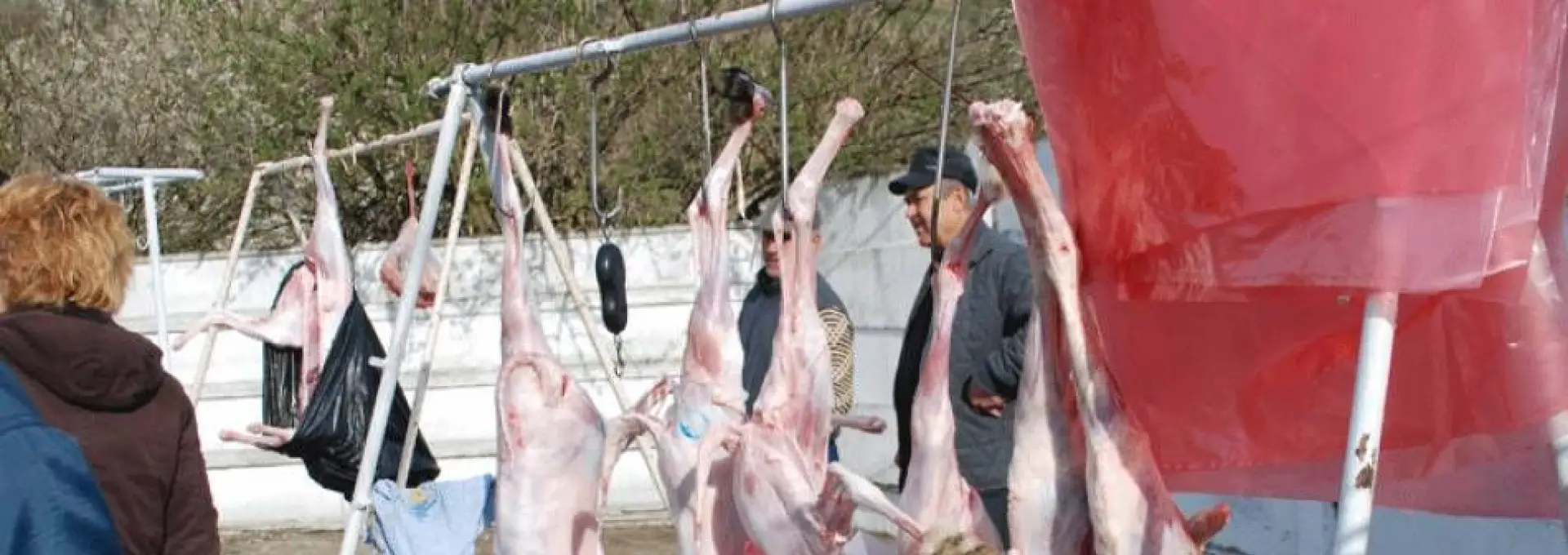 Foto Centre temporare de sacrificare a mieilor în Slatina, Balş şi Osica de Sus