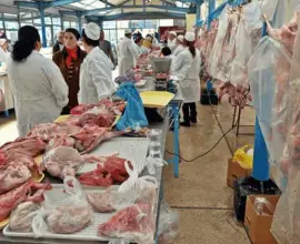 Foto DSVSA Olt a aplicat amenzi în valoare de aproape 150.000 de lei şi a suspendat activitatea unei unităţi înainte de Paşte
