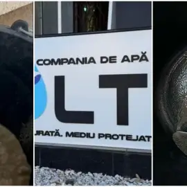 Foto „Cadoul de Paște” de la CAO: Apă cu nisip la robinet, în Slătioara (VIDEO)