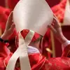 Foto Ce nume şi-ar putea alege noul Papă? Conclavul începe pe 7 mai