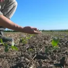 Foto Solul degradat adâncește criza apei în România: raportul „Salvează Solul” avertizează asupra unui pericol ignorat