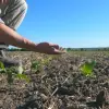 Foto Solul degradat adâncește criza apei în România: raportul „Salvează Solul” avertizează asupra unui pericol ignorat