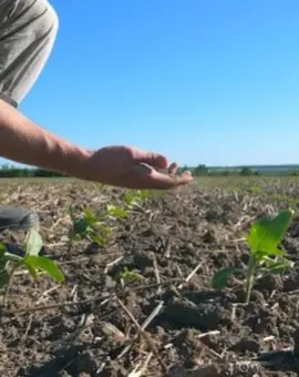 Foto Solul degradat adâncește criza apei în România: raportul „Salvează Solul” avertizează asupra unui pericol ignorat