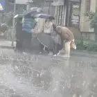 Foto Femeie din Bârza, lovită pe o trecere de pietoni din Craiova, de o şoferiţă de 83 de ani