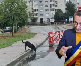 Foto Primarul De Mezzo şi gaşca sa pregătesc externalizarea serviciului de ecarisaj, o afacere care s-a dovedit păguboasă pentru Slatina