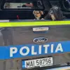 Foto Zeci de amenzi și patru dosare penale aplicate de Poliția Animalelor Olt, în urma controalelor din 2025