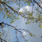 Foto Meteorologii au prelungit informarea de răcire a vremii, precipitaţii şi vânt, până pe 17 mai