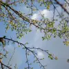 Foto Meteorologii au prelungit informarea de răcire a vremii, precipitaţii şi vânt, până pe 17 mai