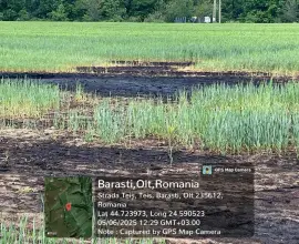 Foto Amendă de 60.000 de lei pentru poluarea solului în Bărăști. Garda de Mediu cere remedierea zonei afectate