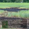 Imagine Amendă de 60.000 de lei pentru poluarea solului în Bărăști. Garda de Mediu cere remedierea zonei afectate
