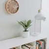 Foto Tehnologii avansate în umidificatoare: Ce modele să cauți pentru casa ta?
