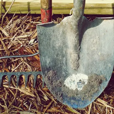 Foto Întreținerea corectă a uneltelor de grădină: 7 sfaturi esențiale pentru o grădină fericită