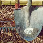 Foto Întreținerea corectă a uneltelor de grădină: 7 sfaturi esențiale pentru o grădină fericită