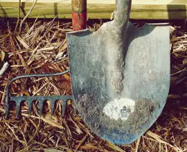 Foto Întreținerea corectă a uneltelor de grădină: 7 sfaturi esențiale pentru o grădină fericită