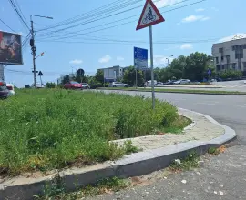 Foto Slatina, cucerită de bălării. FOTO cu peisajele dezolante