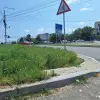 Foto Slatina, cucerită de bălării. FOTO cu peisajele dezolante