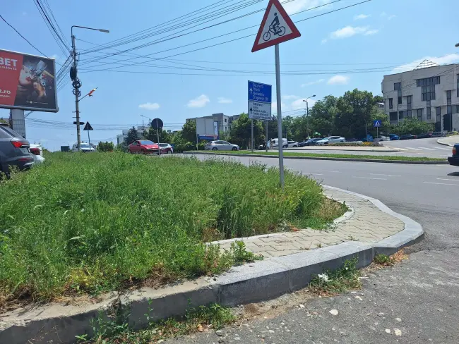 Foto Slatina, cucerită de bălării. FOTO cu peisajele dezolante