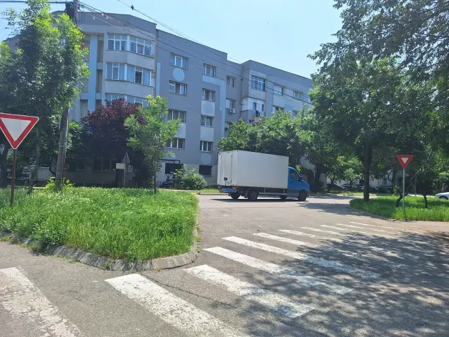 Foto Slatina, cucerită de bălării. FOTO cu peisajele dezolante