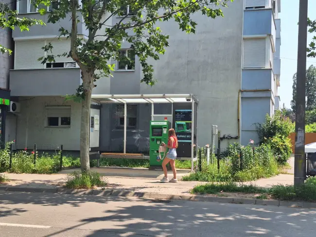 Foto Slatina, cucerită de bălării. FOTO cu peisajele dezolante
