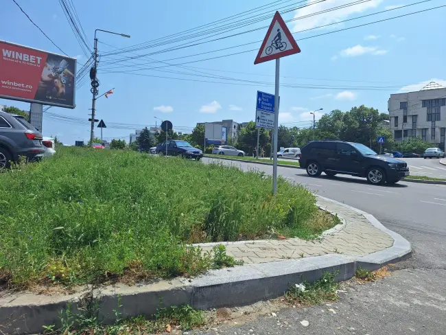 Foto Slatina, cucerită de bălării. FOTO cu peisajele dezolante