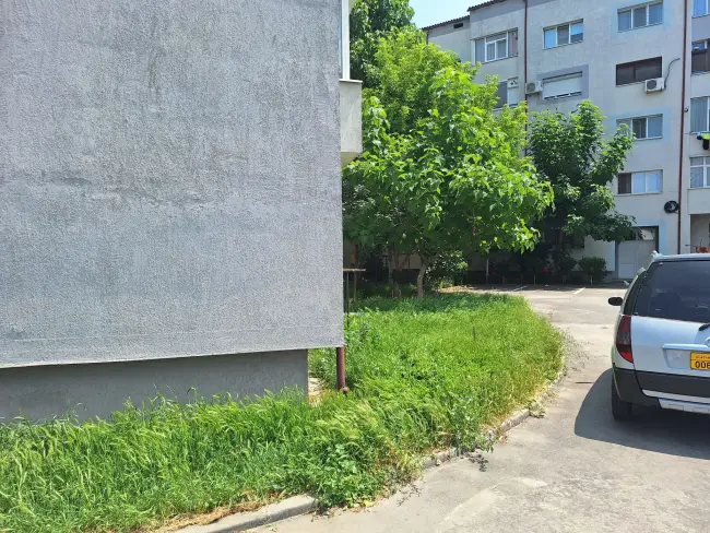 Foto Slatina, cucerită de bălării. FOTO cu peisajele dezolante