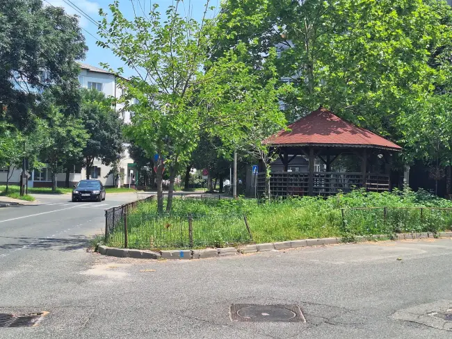 Foto Slatina, cucerită de bălării. FOTO cu peisajele dezolante