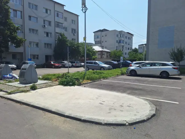 Foto Slatina, cucerită de bălării. FOTO cu peisajele dezolante