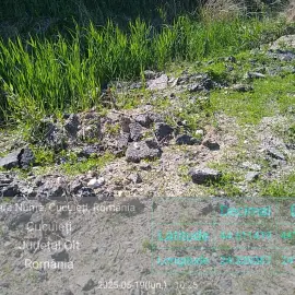 Foto Moloz şi asfalt depozitate ilegal pe malul Oltului, Garda de Mediu sesizează parchetul
