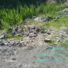 Foto Moloz şi asfalt depozitate ilegal pe malul Oltului, Garda de Mediu sesizează parchetul