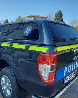 Foto A abandonat două pisici pe o stradă din Slatina și a fost amendat de Poliția Animalelor