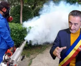 Foto De Mezzo pregătește o nouă scumpire în Slatina: Primăria vrea să majoreze tarifele pentru dezinsecție, deratizare și tratamente fitosanitare