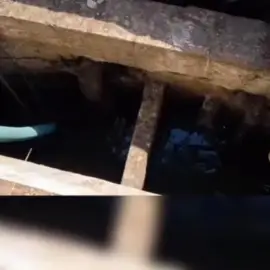 Foto VIDEO. Intervenţie de cinci ore a pompierilor olteni pentru salvarea unui cal căzut într-un canal