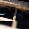 Foto VIDEO. Intervenţie de cinci ore a pompierilor olteni pentru salvarea unui cal căzut într-un canal