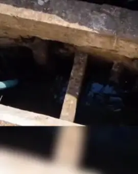 Foto VIDEO. Intervenţie de cinci ore a pompierilor olteni pentru salvarea unui cal căzut într-un canal