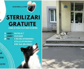 Foto La Piatra-Olt, campanie gratuită de sterilizare a câinilor. La Slatina, autorităţile sunt indiferente iar haitele atacă oamenii