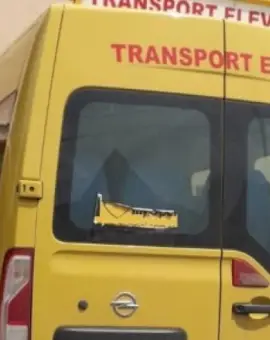 Foto Trei ani cu suspendare pentru şoferul de microbuz şcolar din Dobrun, acuzat de agresiune sexuală asupra unei eleve de 12 ani