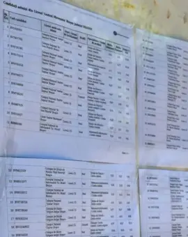 Foto S-au afişat rezultatele finale ale Examenului de Bacalaureat - sesiunea din vară