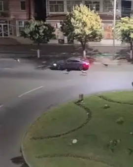 Foto VIDEO: Haită de câini, în centrul Slatinei