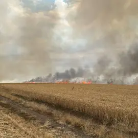 Foto Incendiu de proporții în Movileni, provocat de un stâlp de electricitate doborât de vânt (FOTO)