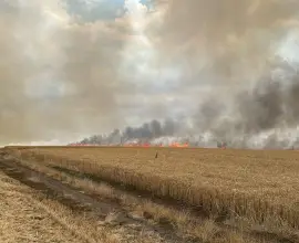Foto Incendiu de proporții în Movileni, provocat de un stâlp de electricitate doborât de vânt (FOTO)