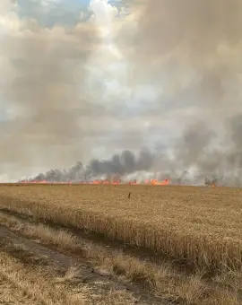 Foto Incendiu de proporții în Movileni, provocat de un stâlp de electricitate doborât de vânt (FOTO)