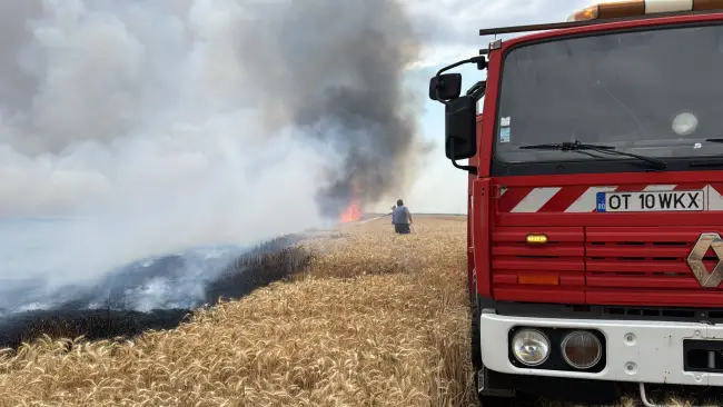 Foto Incendiu de proporții în Movileni, provocat de un stâlp de electricitate doborât de vânt (FOTO)
