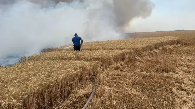 Foto Incendiu de proporții în Movileni, provocat de un stâlp de electricitate doborât de vânt (FOTO)