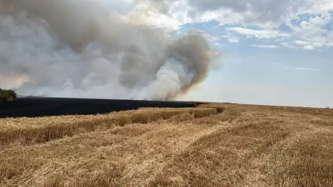 Foto Incendiu de proporții în Movileni, provocat de un stâlp de electricitate doborât de vânt (FOTO)