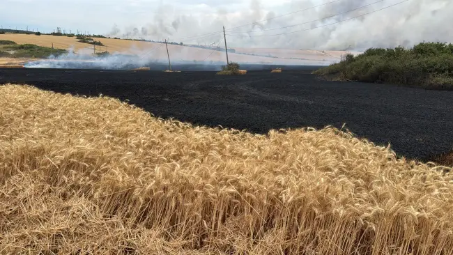 Foto Incendiu de proporții în Movileni, provocat de un stâlp de electricitate doborât de vânt (FOTO)