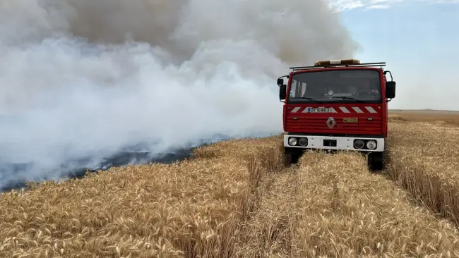 Foto Incendiu de proporții în Movileni, provocat de un stâlp de electricitate doborât de vânt (FOTO)