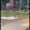 Foto Gazonul pus de firma DUS, pe bulevardul AI Cuza din Slatina, s-a uscat la scurtă vreme de la plantare (VIDEO)
