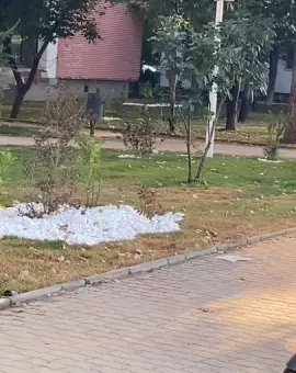 Foto Gazonul pus de firma DUS, pe bulevardul AI Cuza din Slatina, s-a uscat la scurtă vreme de la plantare (VIDEO)